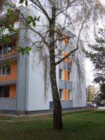 /album/a2013/j-z-jpg/